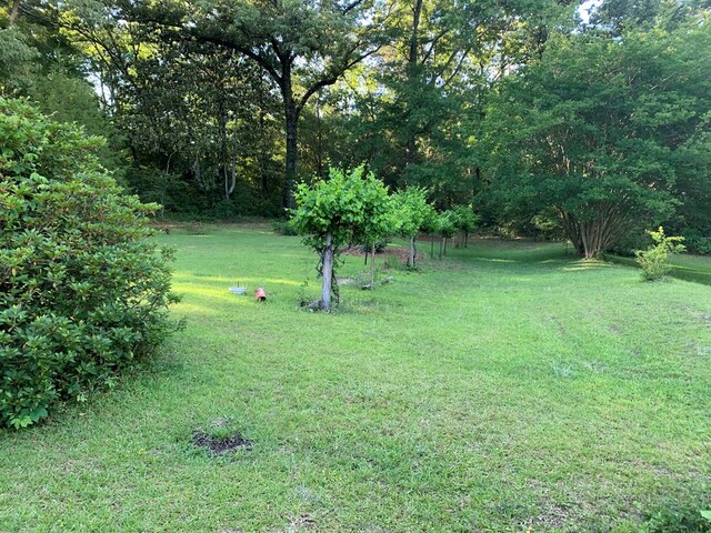 115 Carter Ridge Rd, Abbeville, AL 36310 - photo 15