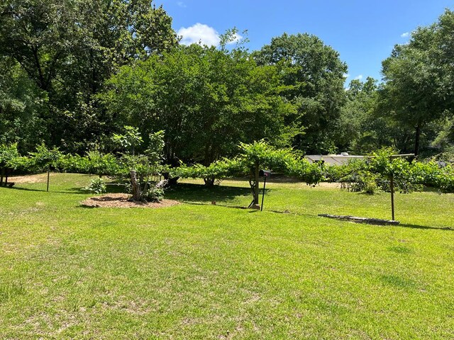 115 Carter Ridge Rd, Abbeville, AL 36310 - photo 22