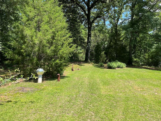 115 Carter Ridge Rd, Abbeville, AL 36310 - photo 23