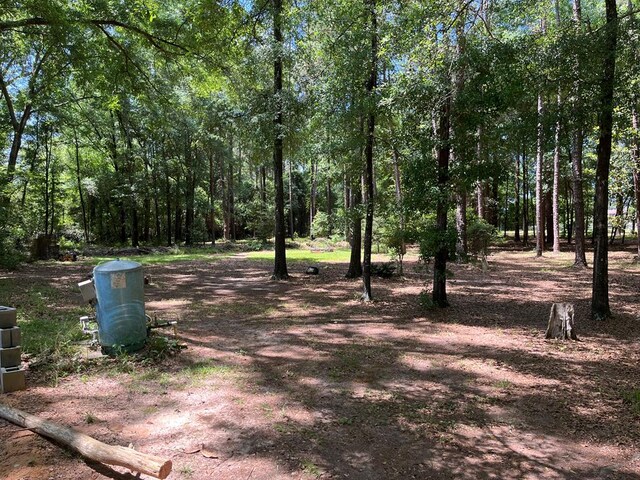 115 Carter Ridge Rd, Abbeville, AL 36310 - photo 21