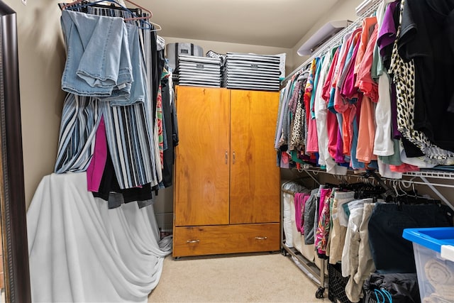 walk in closet with light carpet