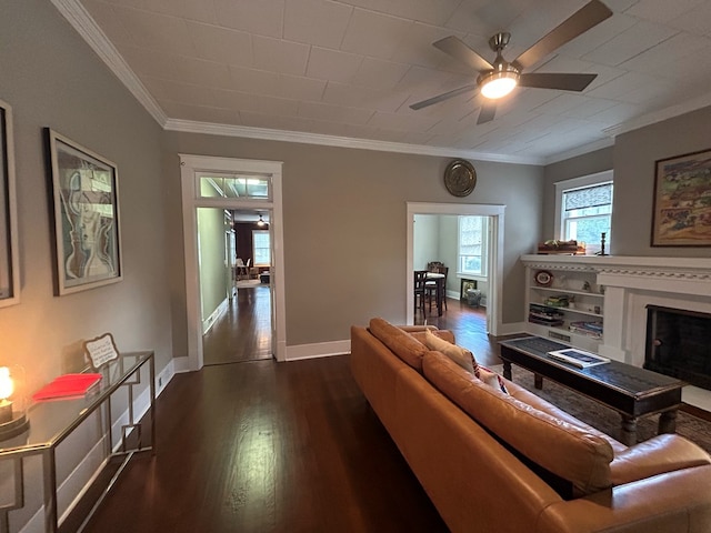 513 N Park Ave, Dothan, AL 36303 - photo 19