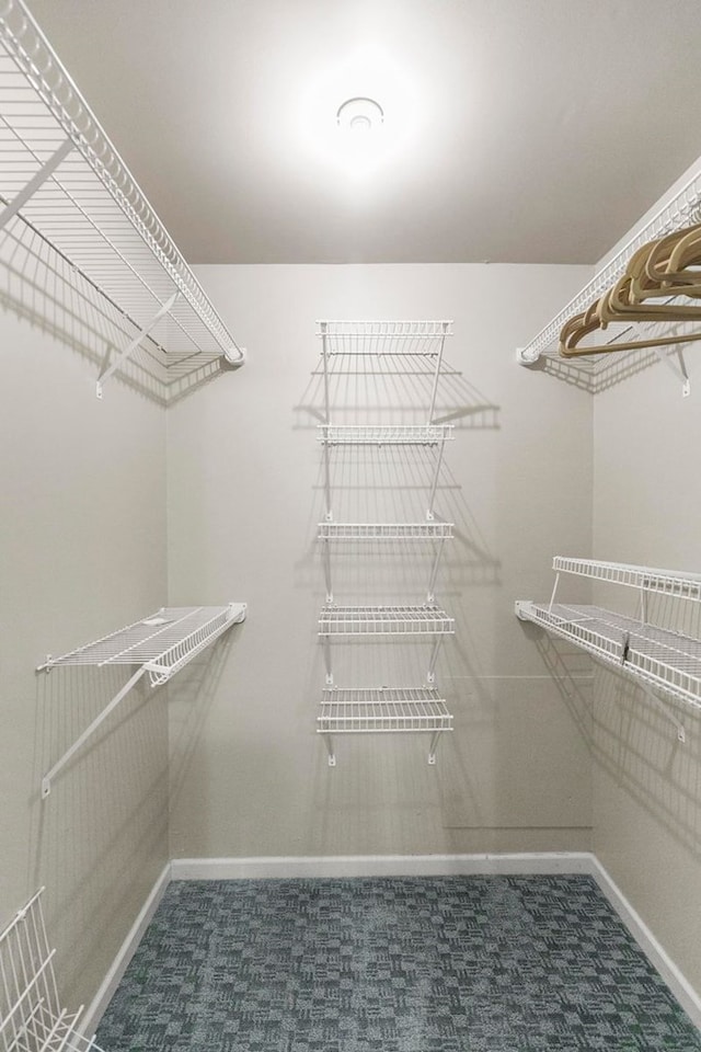 1104 Strathmore Ave, Dothan, AL 36303 - spacious closet with carpet floors