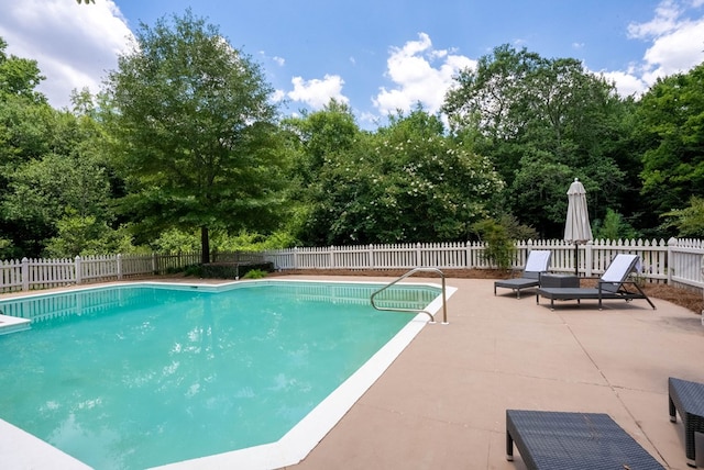 view of swimming pool with a patio