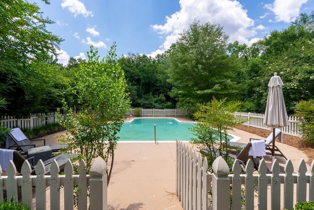 view of swimming pool with a patio