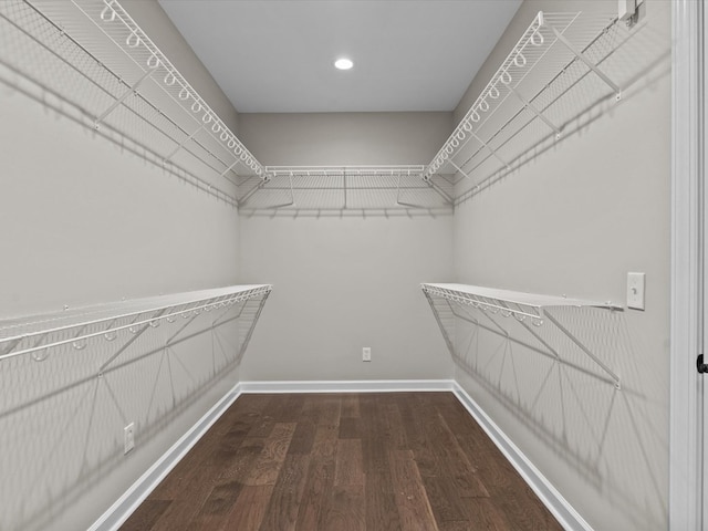 spacious closet with dark wood-style flooring