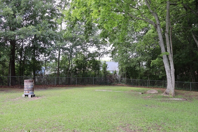 907 E Lee St, Enterprise, AL 36330 - view of yard