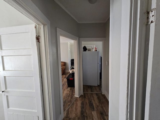 hall with dark wood-type flooring