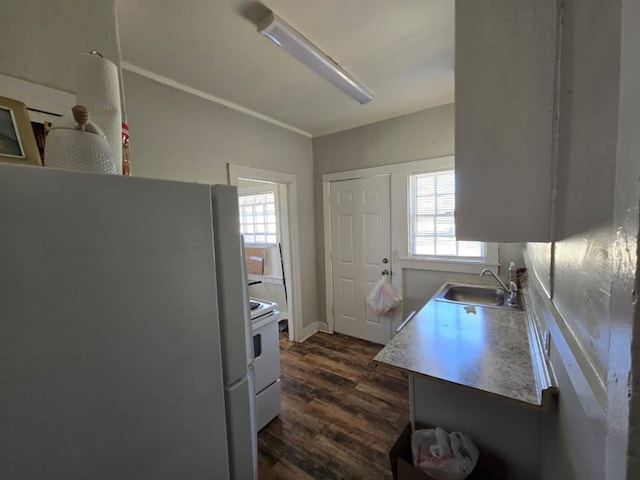 kitchen featuring white electric stove, plenty of natural light, a sink, and freestanding refrigerator