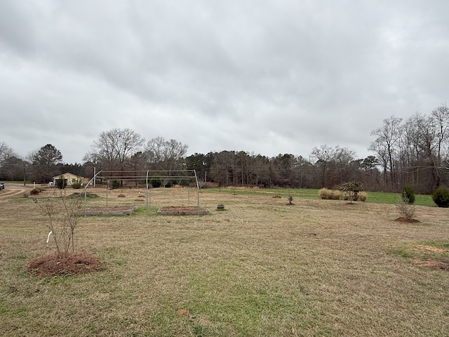 view of yard with a rural view