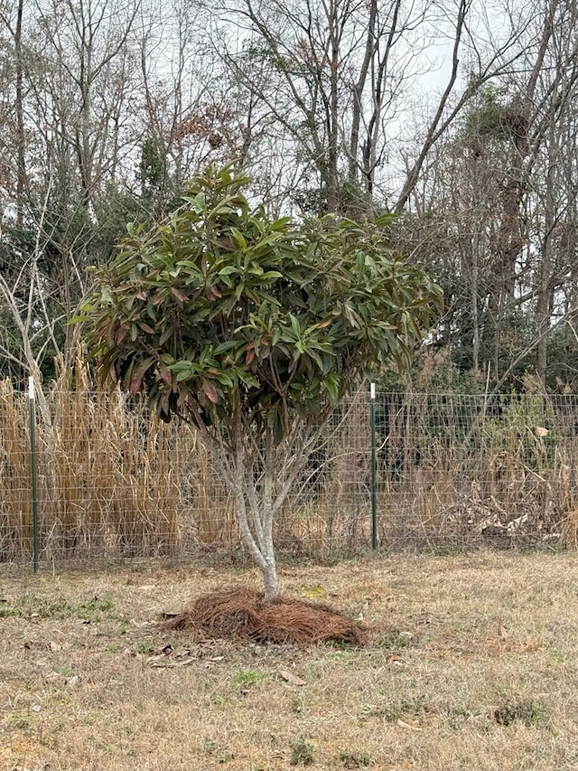 view of nature