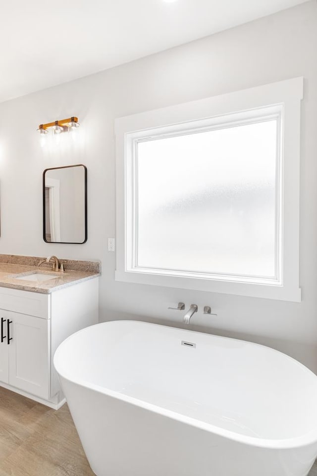 bathroom with vanity and a washtub