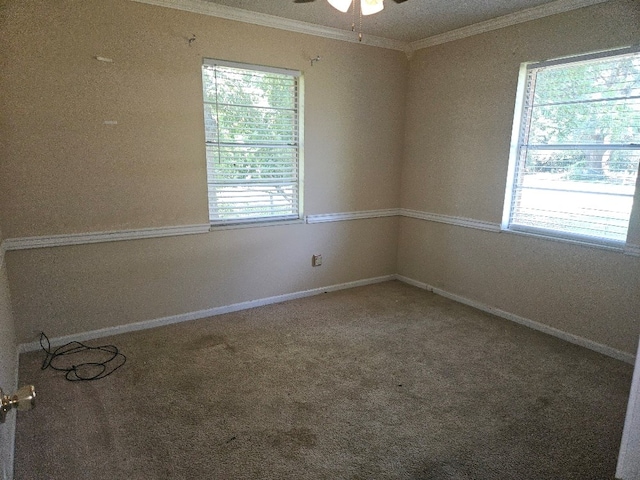 901 Grove St, Cottonwood, AL 36320 - carpeted empty room with crown molding and ceiling fan