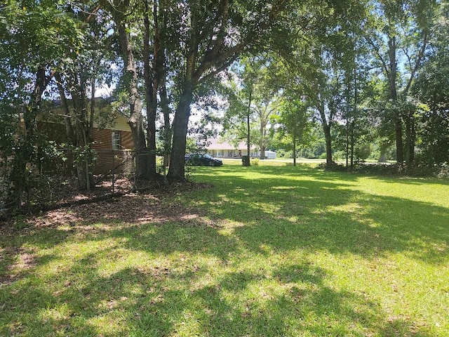 901 Grove St, Cottonwood, AL 36320 - view of grassy yard