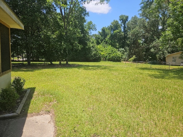 901 Grove St, Cottonwood, AL 36320 - view of yard