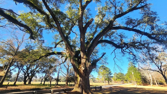 view of property's community