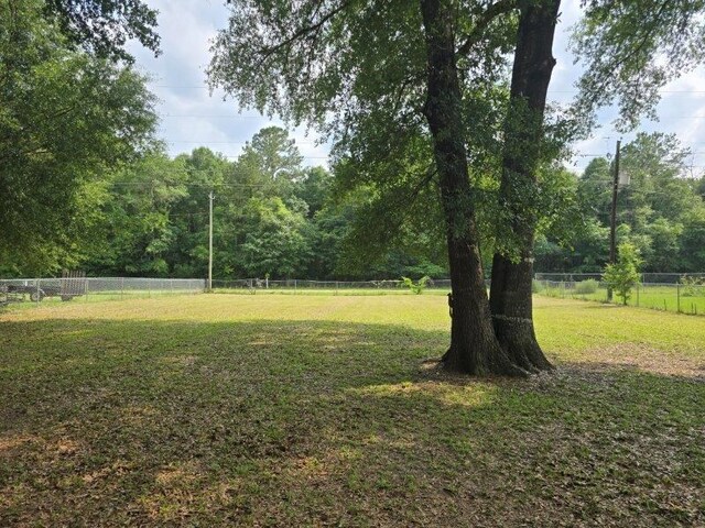 826 Old Newton Rd, Daleville, AL 36322 - view of yard