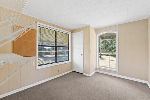 empty room featuring carpet flooring and wooden walls