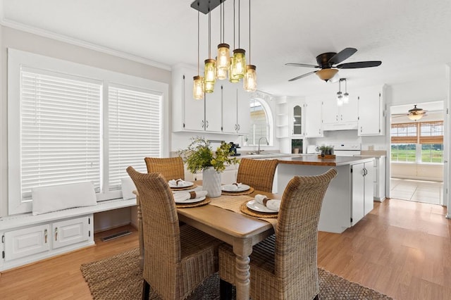 dining space featuring crown molding, sink, light hardwood / wood-style floors, and ceiling fan with notable chandelier