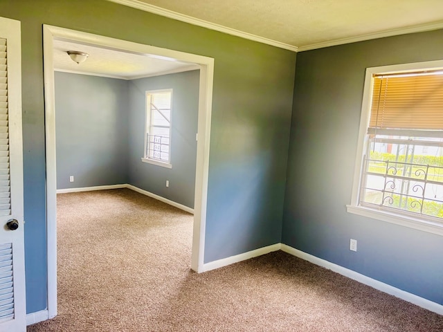 818 NE Parker St, Dothan, AL 36303 - photo 8