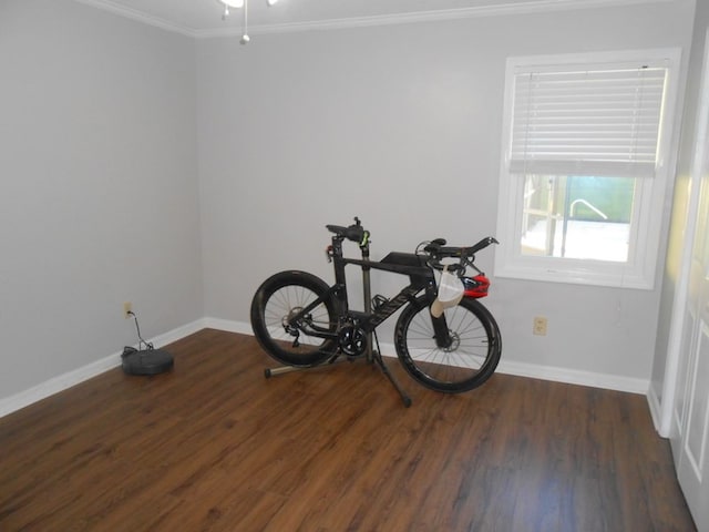 363 Vining Dr, Dothan, AL 36305 - misc room featuring crown molding, baseboards, and wood finished floors