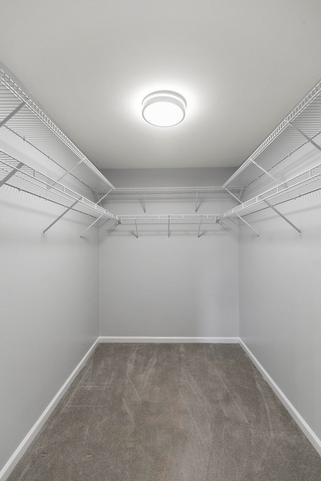 spacious closet with carpet floors