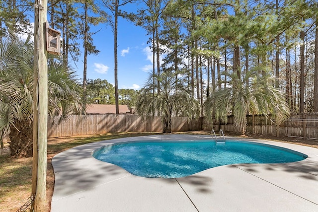 view of pool with a patio, a fenced backyard, and a fenced in pool