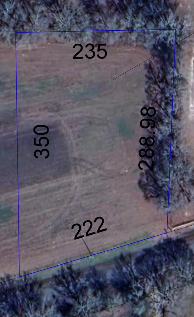 0 County Road 4, Slocomb, AL 36375 - photo 6