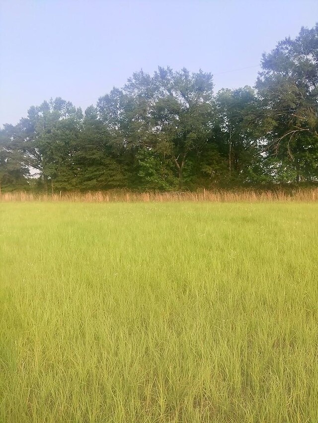 0 County Road 4, Slocomb, AL 36375 - photo 5