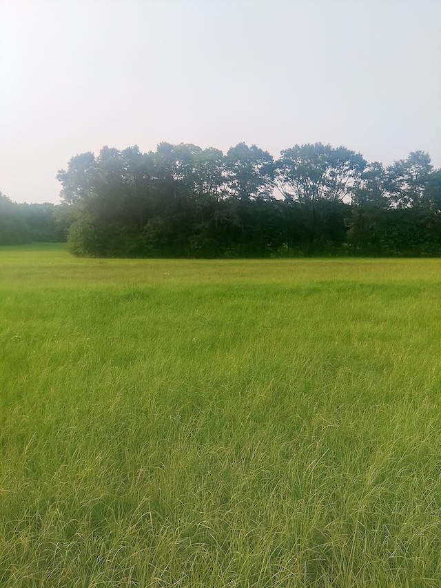 0 County Road 4, Slocomb, AL 36375 - photo 1