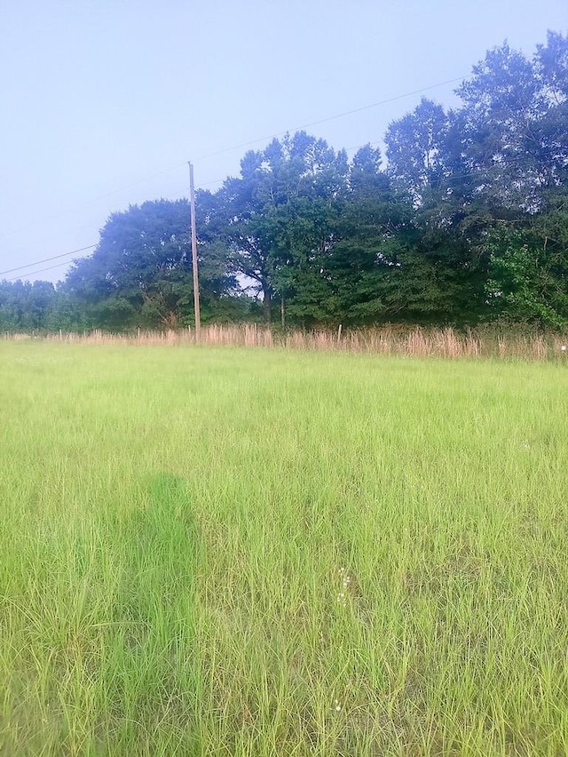 0 County Road 4, Slocomb, AL 36375 - photo 2