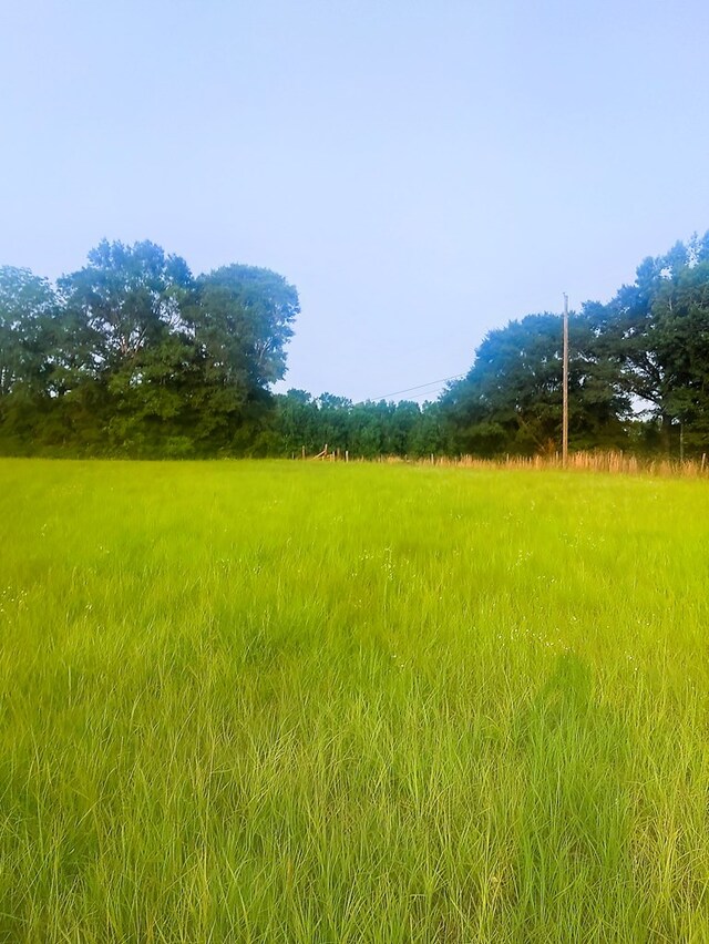 0 County Road 4, Slocomb, AL 36375 - photo 3