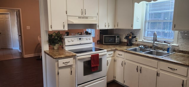 kitchen with white electric stove, a sink, under cabinet range hood, stainless steel microwave, and tasteful backsplash