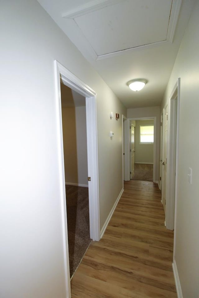 1125 Garden Ln, Dothan, AL 36301 - hall with light wood-style floors and attic access