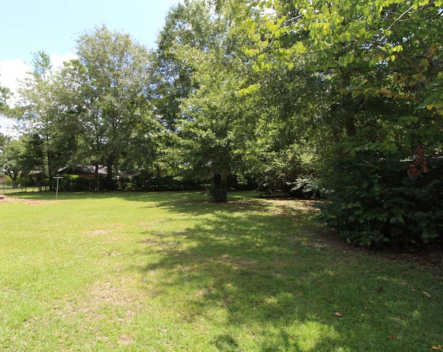 1125 Garden Ln, Dothan, AL 36301 - view of green lawn