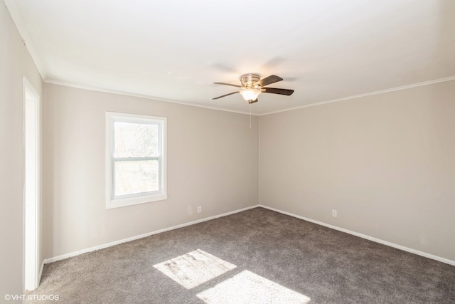 spare room with carpet flooring, ceiling fan, and crown molding