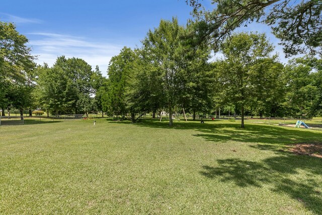 1491 Ashford Rd, Ashford, AL 36312 - photo 41