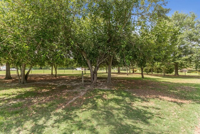 1491 Ashford Rd, Ashford, AL 36312 - photo 44