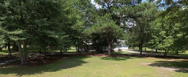 1491 Ashford Rd, Ashford, AL 36312 - photo 71