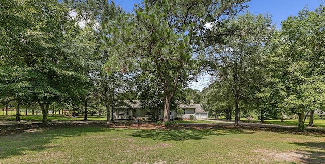 1491 Ashford Rd, Ashford, AL 36312 - photo 59