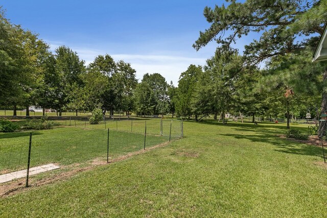 1491 Ashford Rd, Ashford, AL 36312 - photo 40