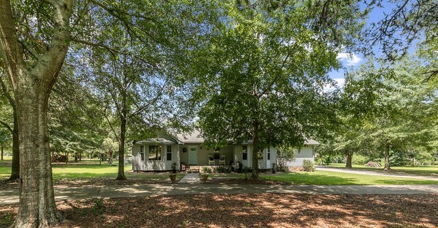 1491 Ashford Rd, Ashford, AL 36312 - photo 58