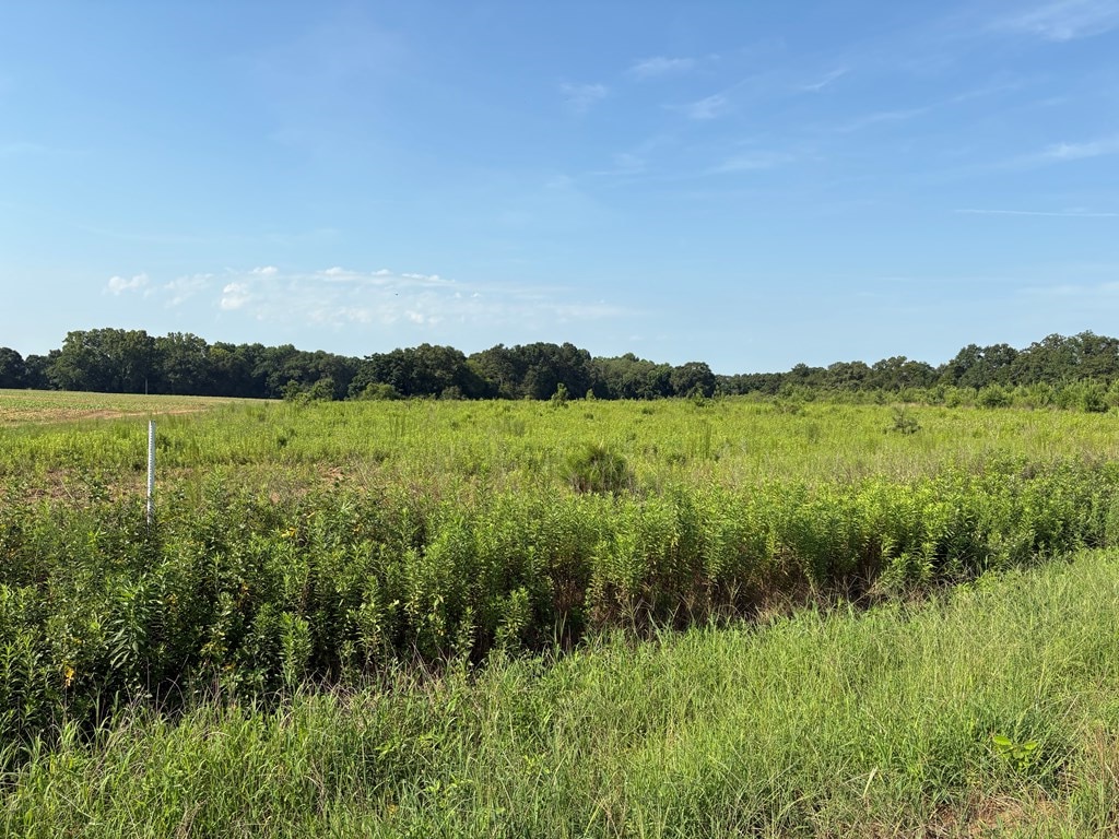 0 Judge Logue Rd, Newton, AL 36352