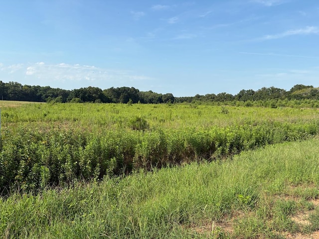 0 Judge Logue Rd, Newton, AL 36352