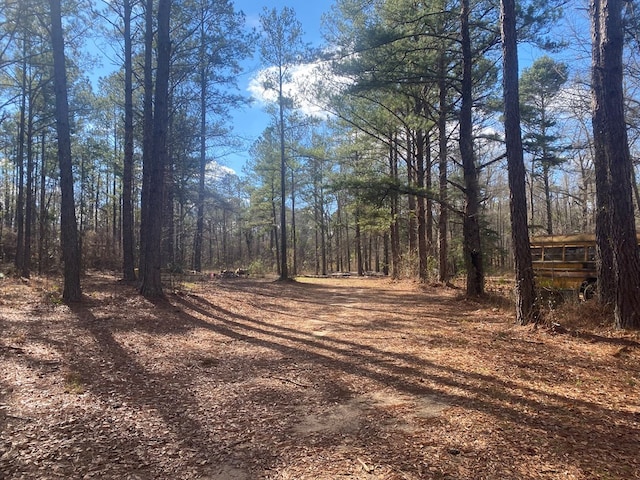 3481 County Rd 81, Abbeville, AL 36310
