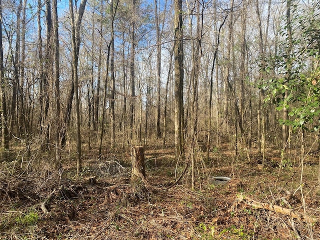 3481 County Rd 81, Abbeville, AL 36310