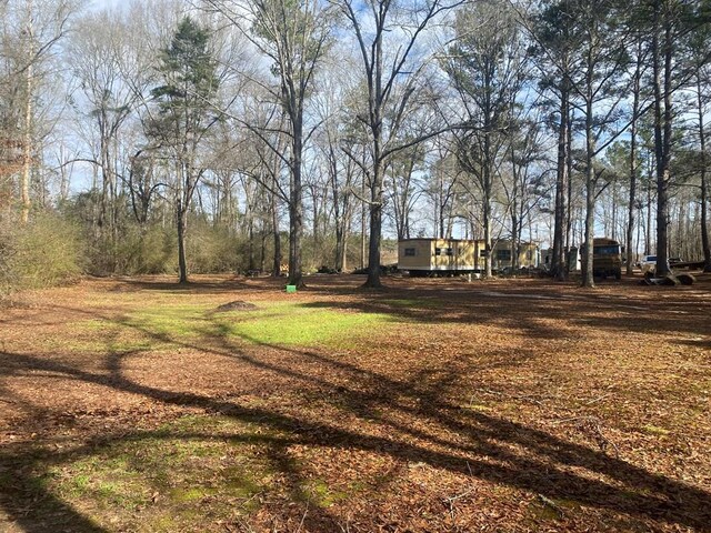 3481 County Rd 81, Abbeville, AL 36310