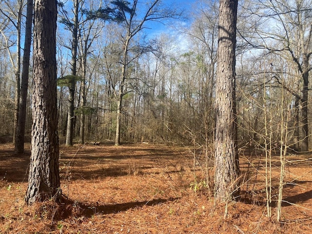 3481 County Rd 81, Abbeville, AL 36310