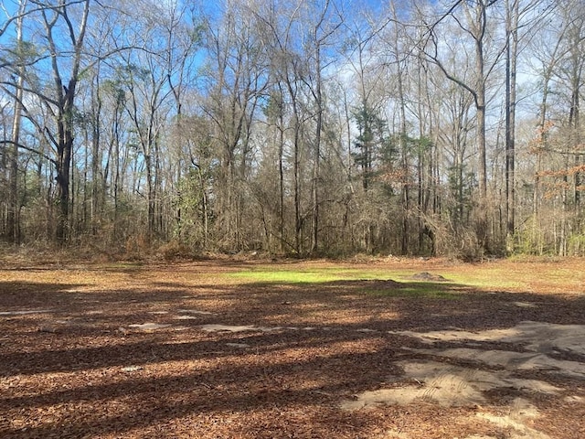 3481 County Rd 81, Abbeville, AL 36310