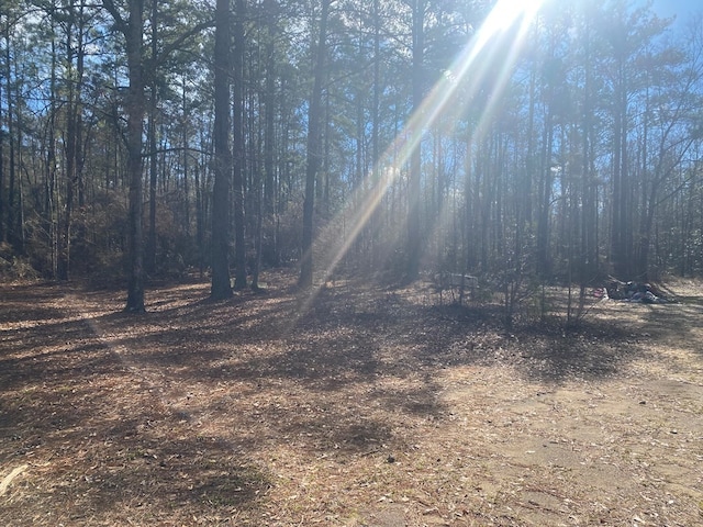 3481 County Rd 81, Abbeville, AL 36310